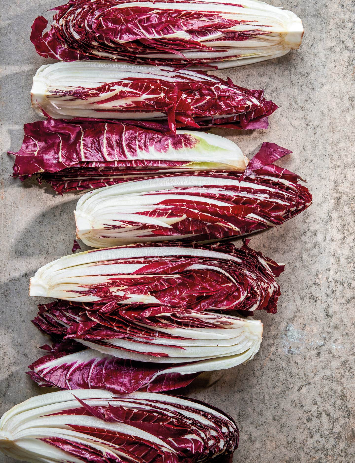 Radicchio
