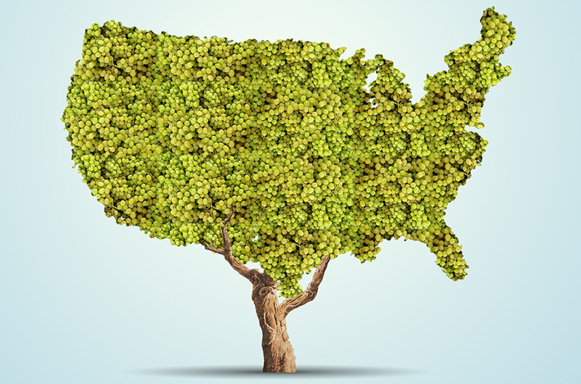 Cru Americana: 10 of America’s finest vineyards Cru Americana: 10 of America’s finest vineyards