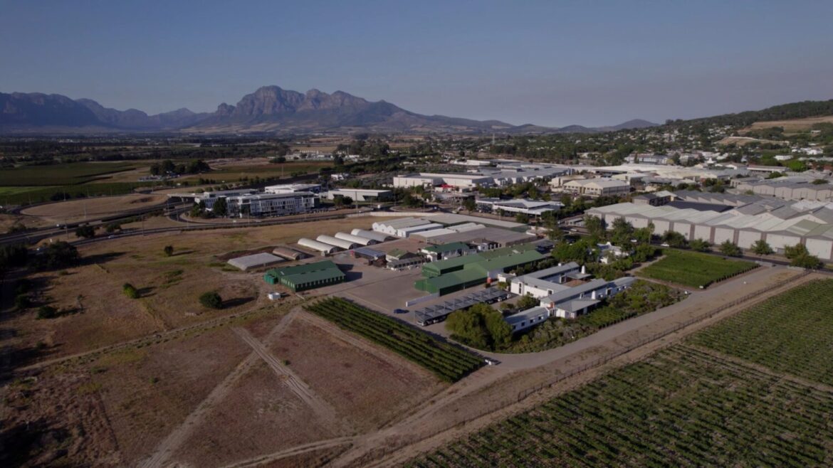 New documentary uncorks education and opportunities in wine