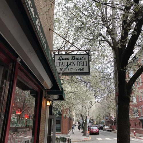 luca brasis hoboken