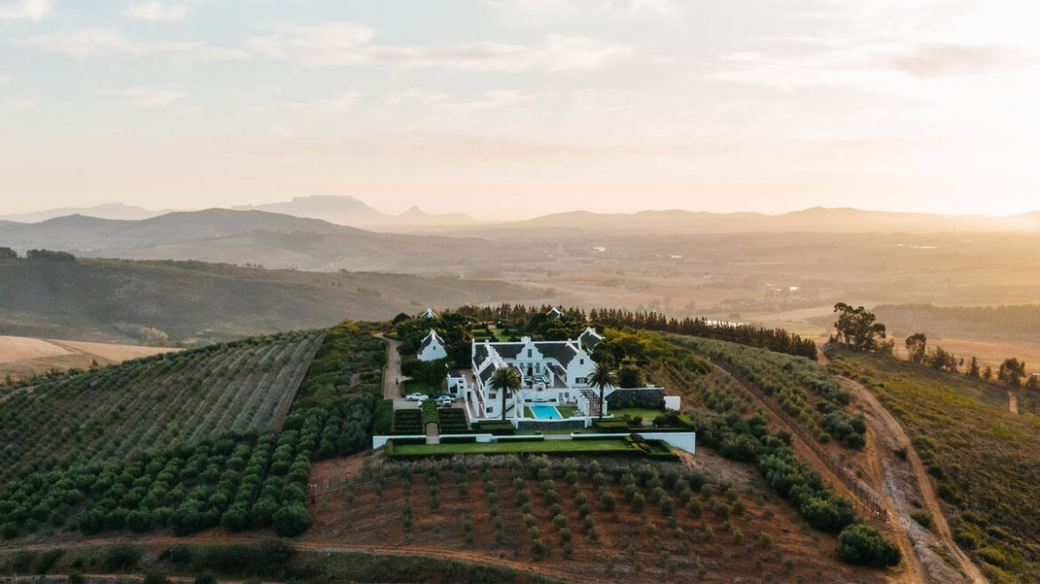 Packages that blend African wine and wildlife: Travel Weekly