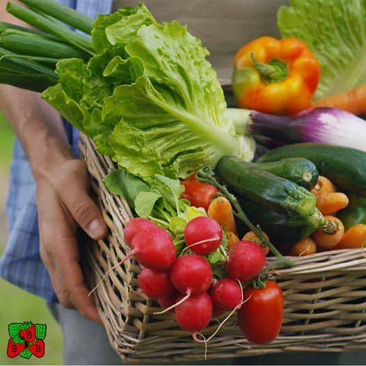 6 Ingredients for The Perfect Pittsburgh Picnic pittsburgh takeout picnic