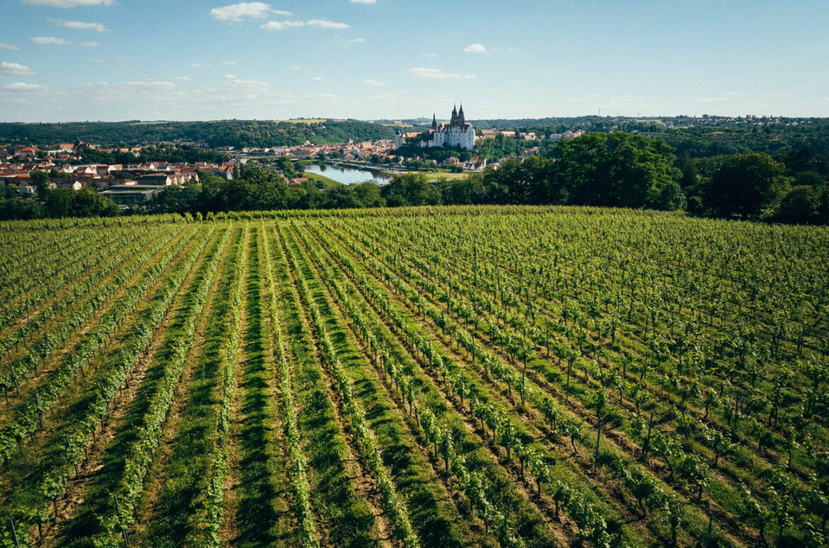 Sachsen and Saale-Unstrut: Unearthing Germany's exciting eastern regions