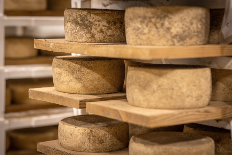 W50BR25-Piedmontfoodanddrink-5