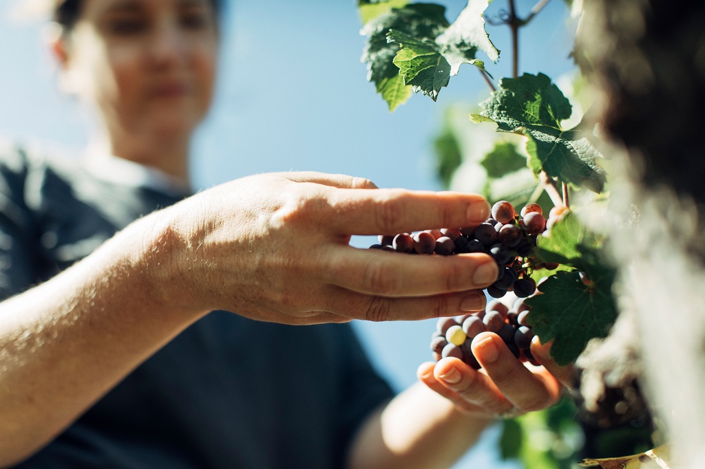 Wine Australia wants to hear from you Wine Australia wants to hear from you