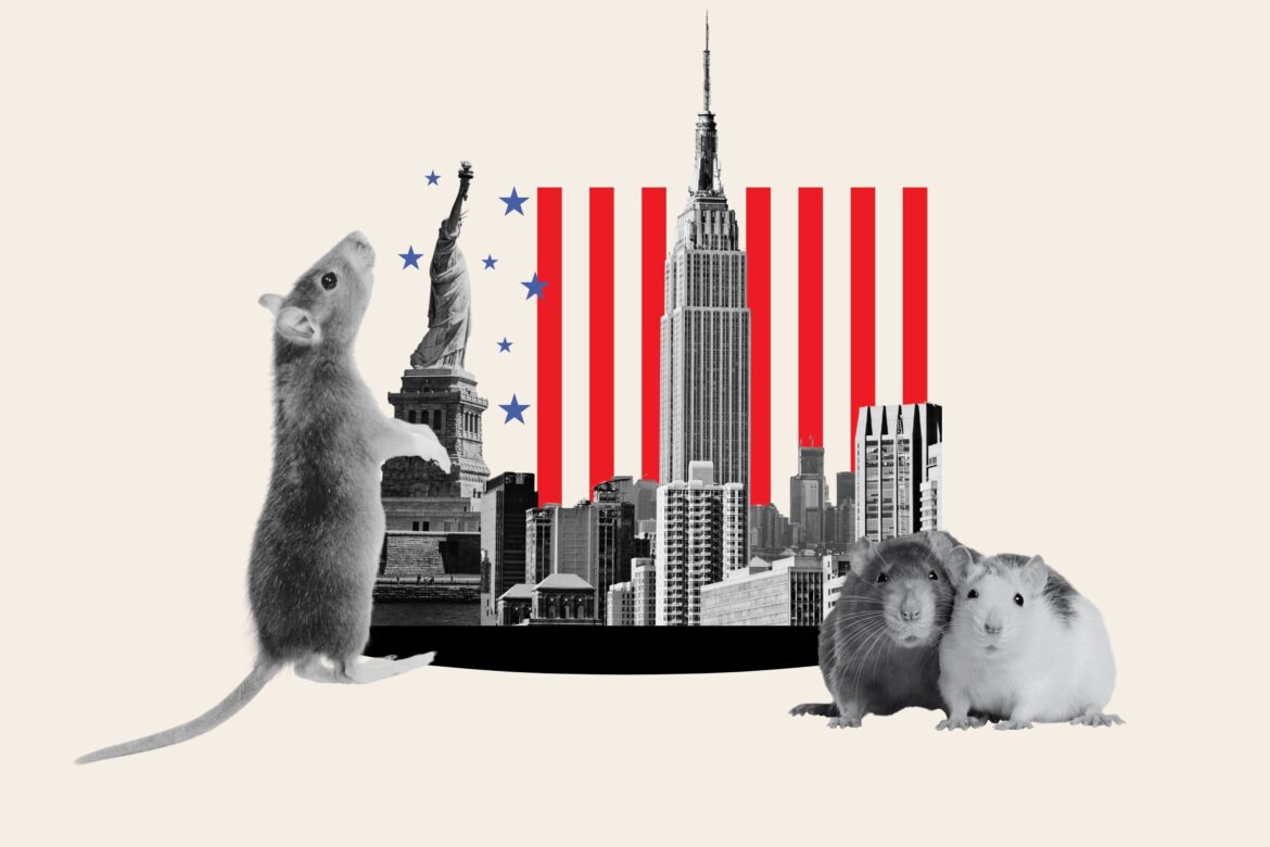 Loved Osteria Nonnino (an Italian Restaurant), but just saw some troubling historical health-inspection notes—should I worry?