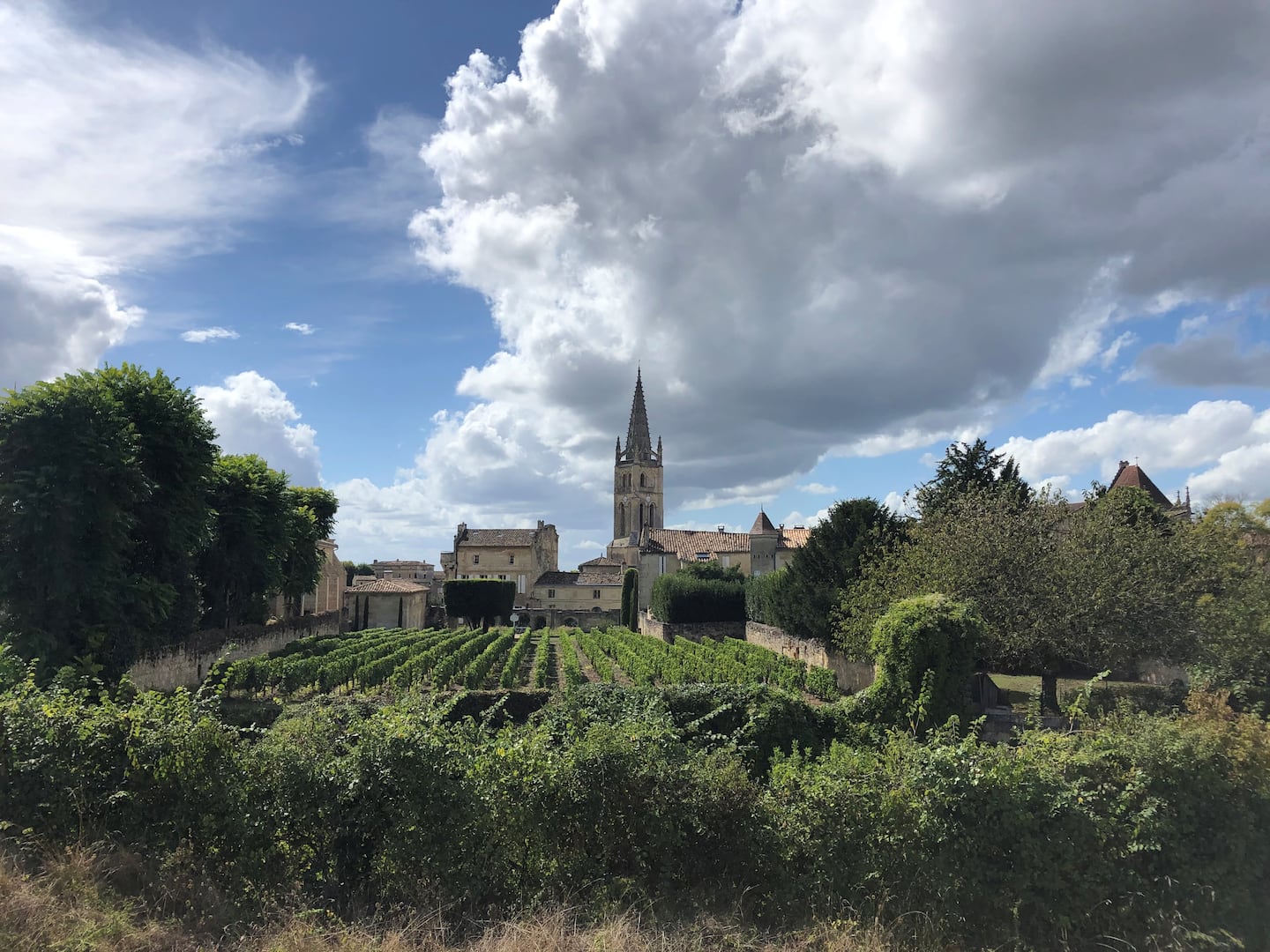 The aptly named Wine Lover tour in France is offered by SLL Perigord Travel.