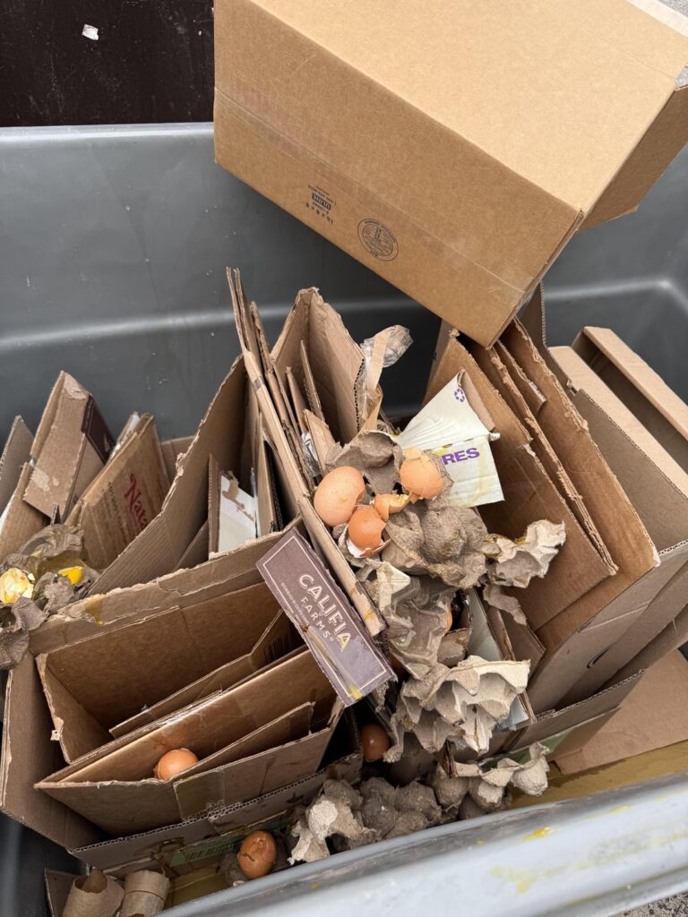 Anyone else have shitty neighbors?