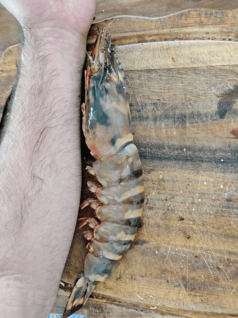 First seafood in Portugal