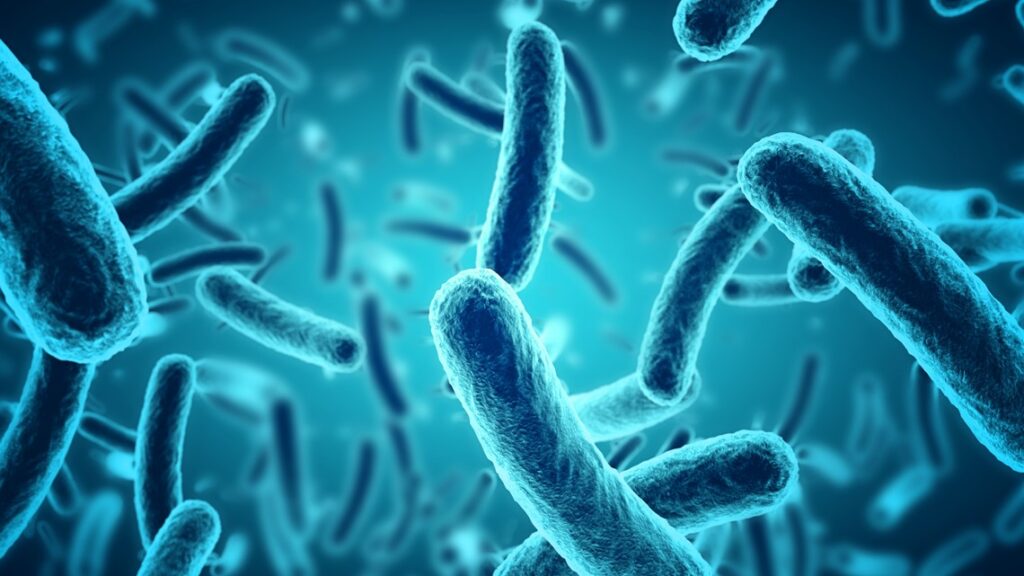 Clairemont restaurant salmonella outbreak | cbs8.com Clairemont restaurant salmonella outbreak | cbs8.com