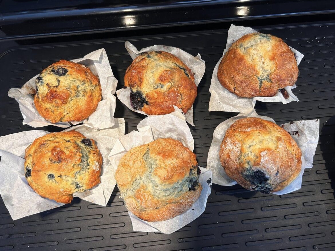 Freshly baked chocolate muffins