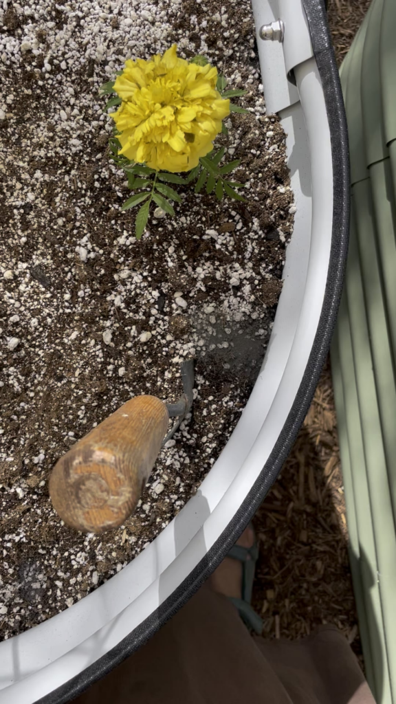 Holy hell what are these