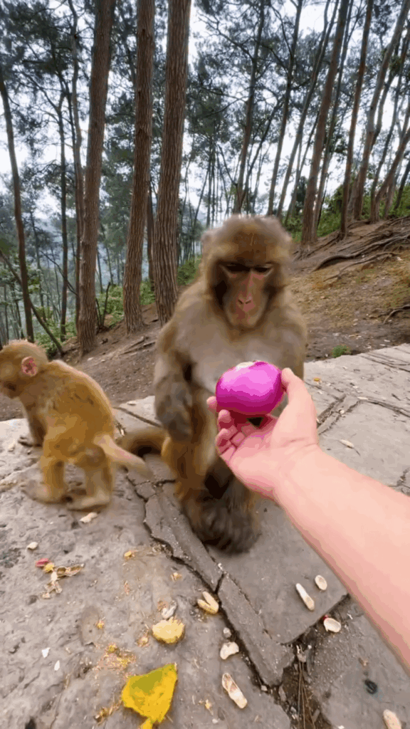 i dont think theyre on this sub :(