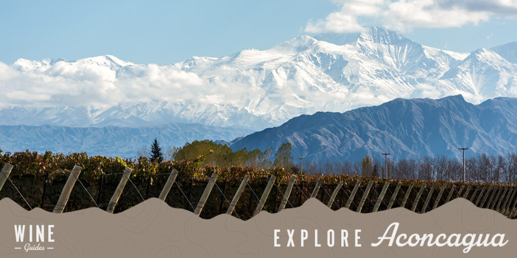 Explore Chile’s Aconcagua Valley Through a Wine Glass