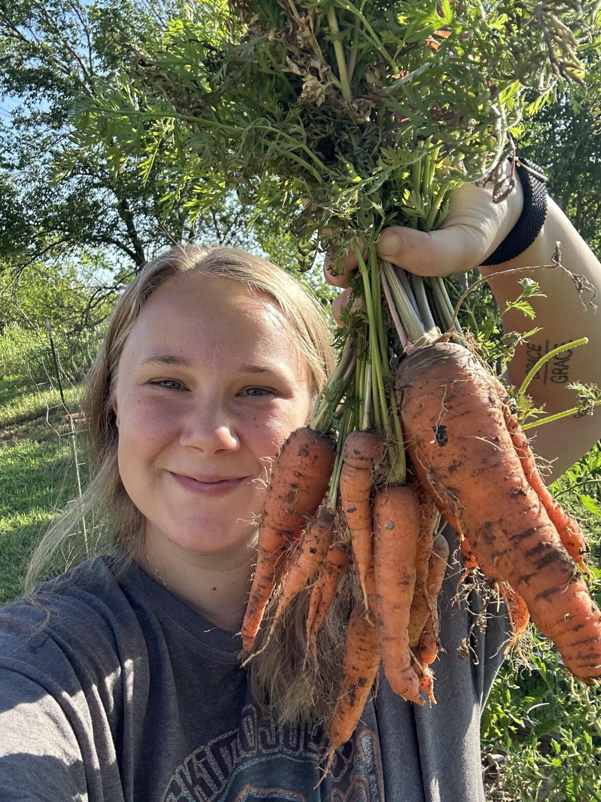 Carrot harvest!! Carrot harvest!!