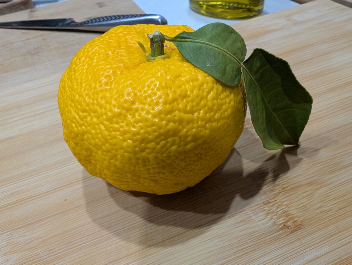 How to yuzu this?