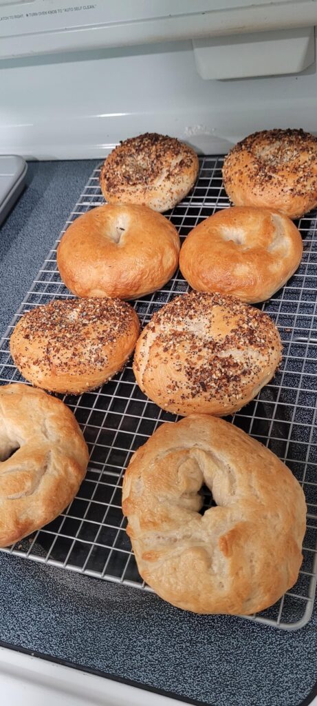 Sourdough Discard Bagels Sourdough Discard Bagels