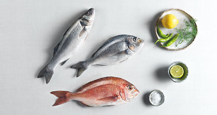 the largest integrated aquaculture company in the Mediterranean the largest integrated aquaculture company in the Mediterranean