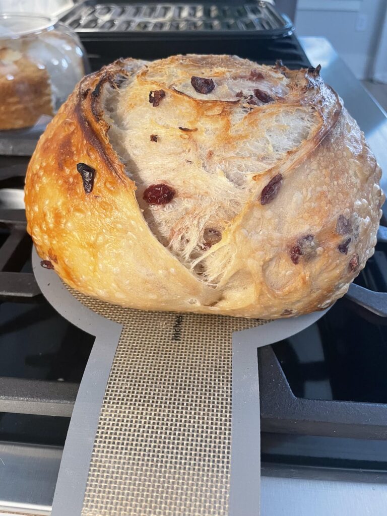 I’m slowly figuring this out and I am having so much FUN!