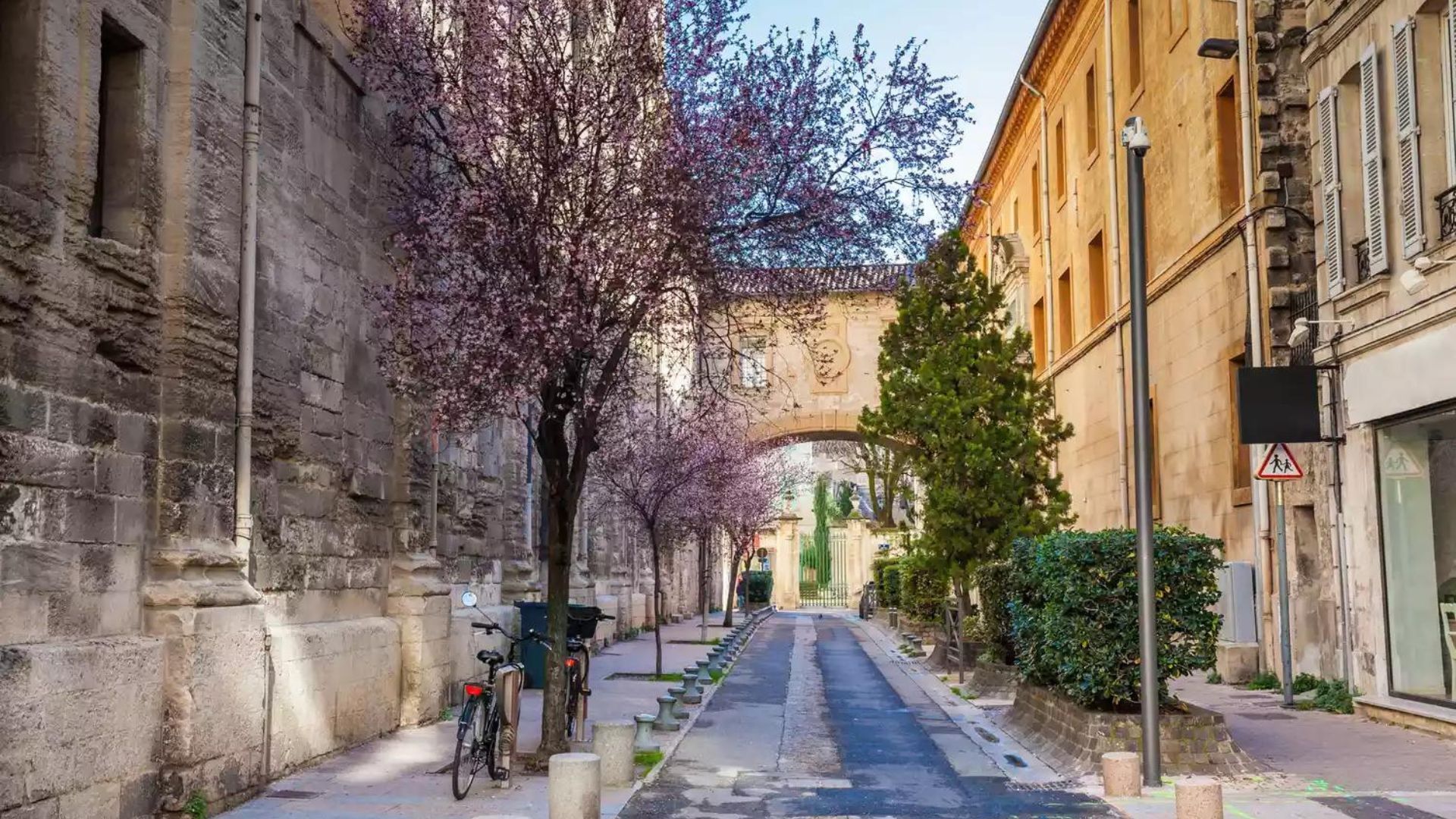 avignon