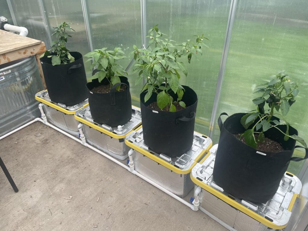 Self watering system working pretty well so far! Self watering system working pretty well so far!