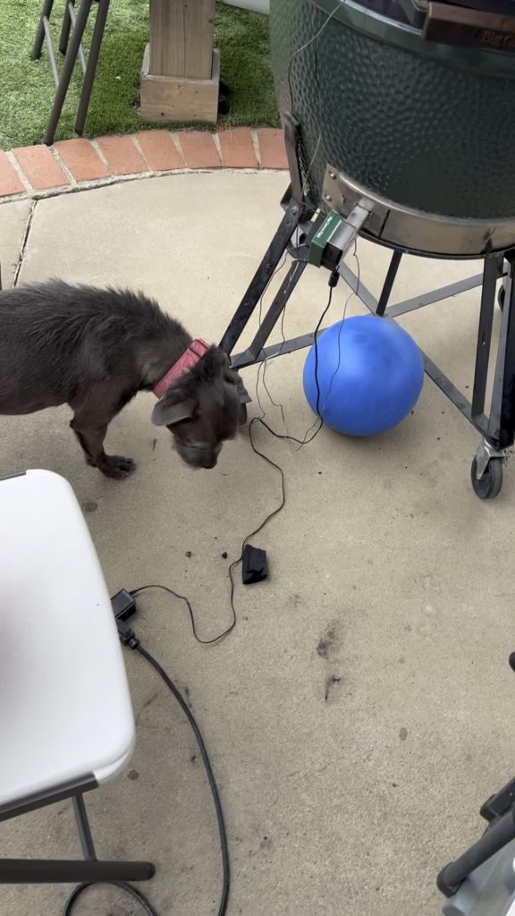 Meal prep for the week