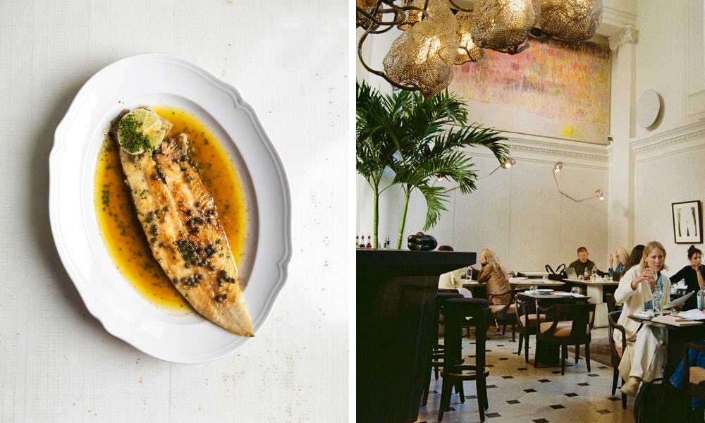 fish dish at pollini