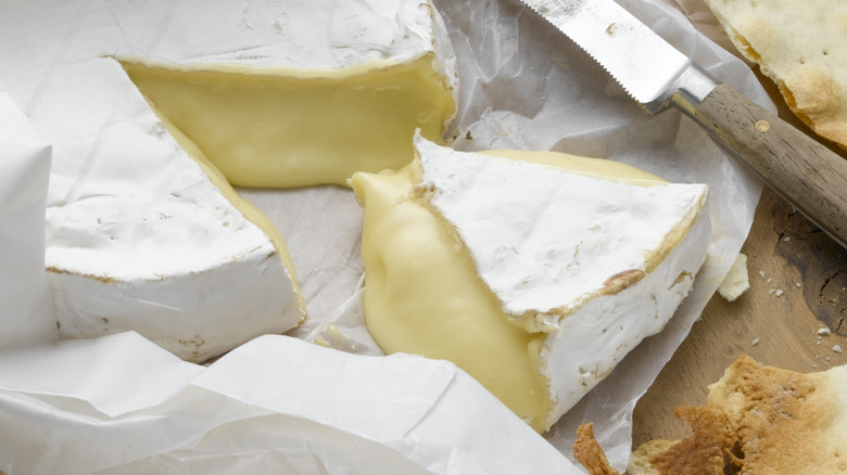 Slicing a gooey wedge of Brie cheese