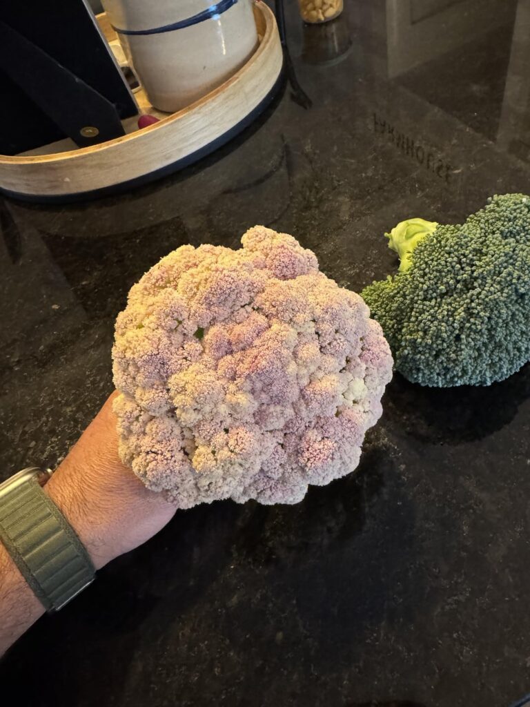 First little harvest….proud