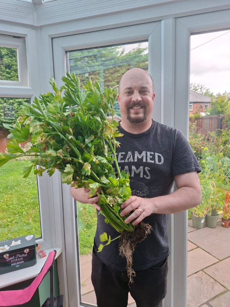 My first celery harvest