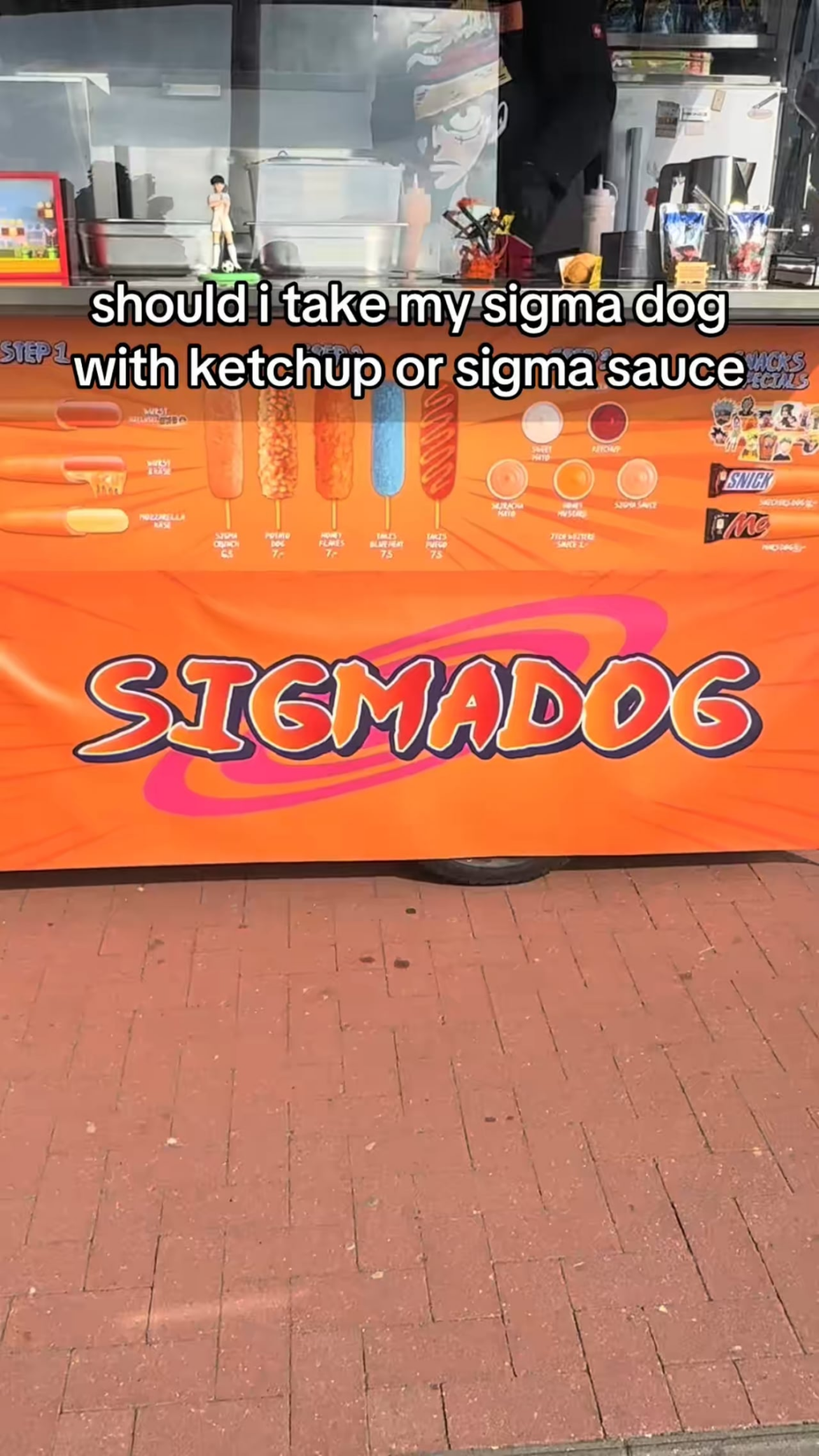 One Sigmadog please