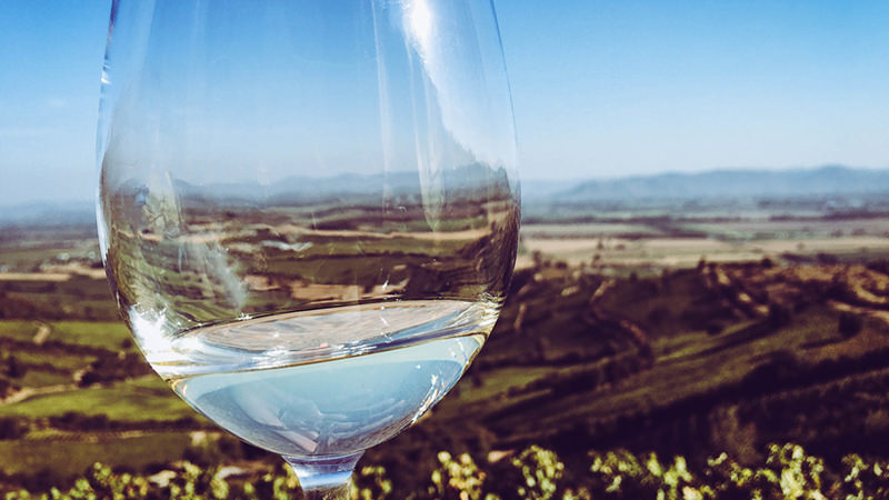 The landscapes of Montes Winery