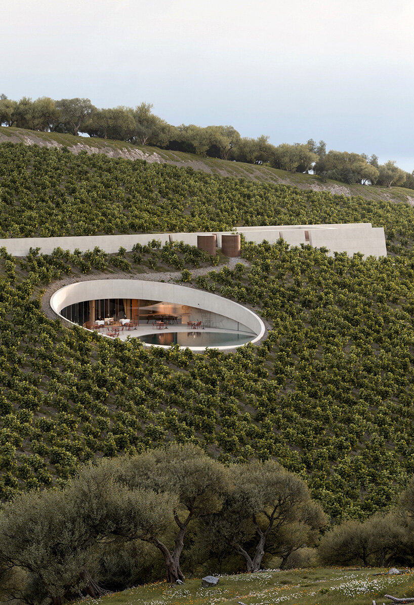 circular cut in the vineyard reveals fotis zapantiotis' underground winery in greece