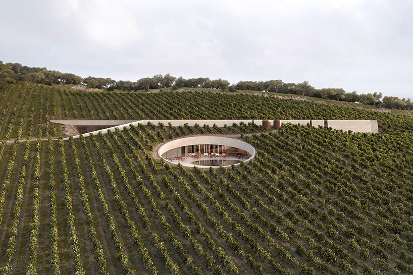 circular cut in the vineyard reveals fotis zapantiotis' underground winery in greece