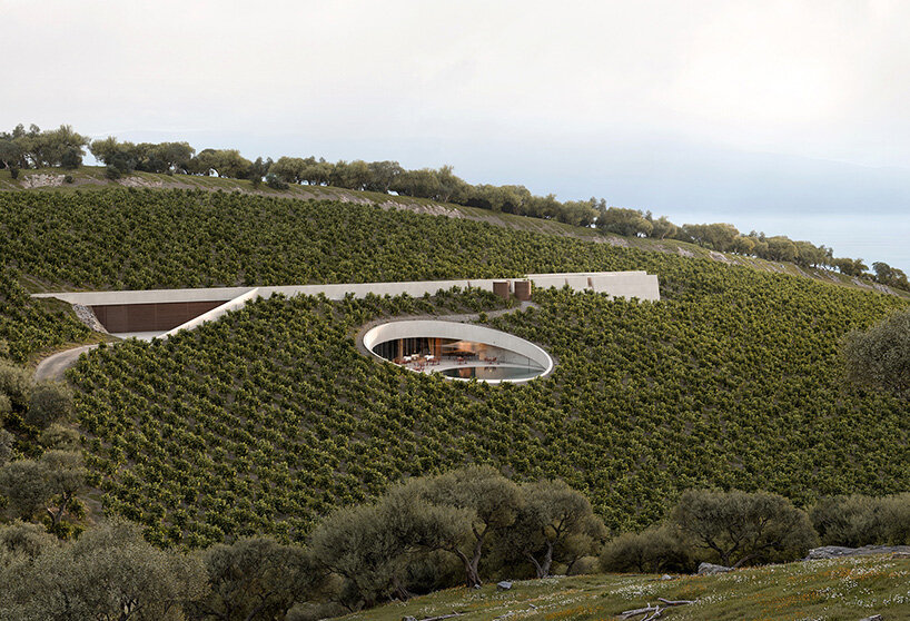 circular cut in the vineyard reveals fotis zapantiotis' underground winery in greece