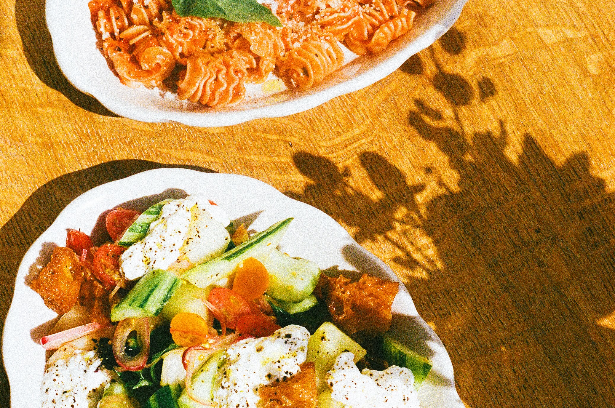 Overhead shot of panzanella and pasta with arrabbiata sauce on a wood table