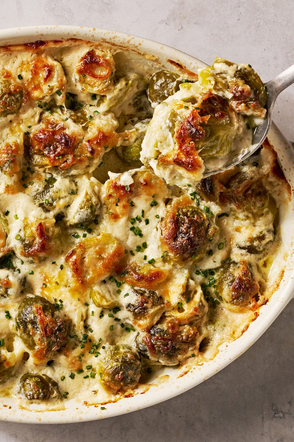 cheesy, bubbling creamed brussels sprouts in a white oval casserole dish