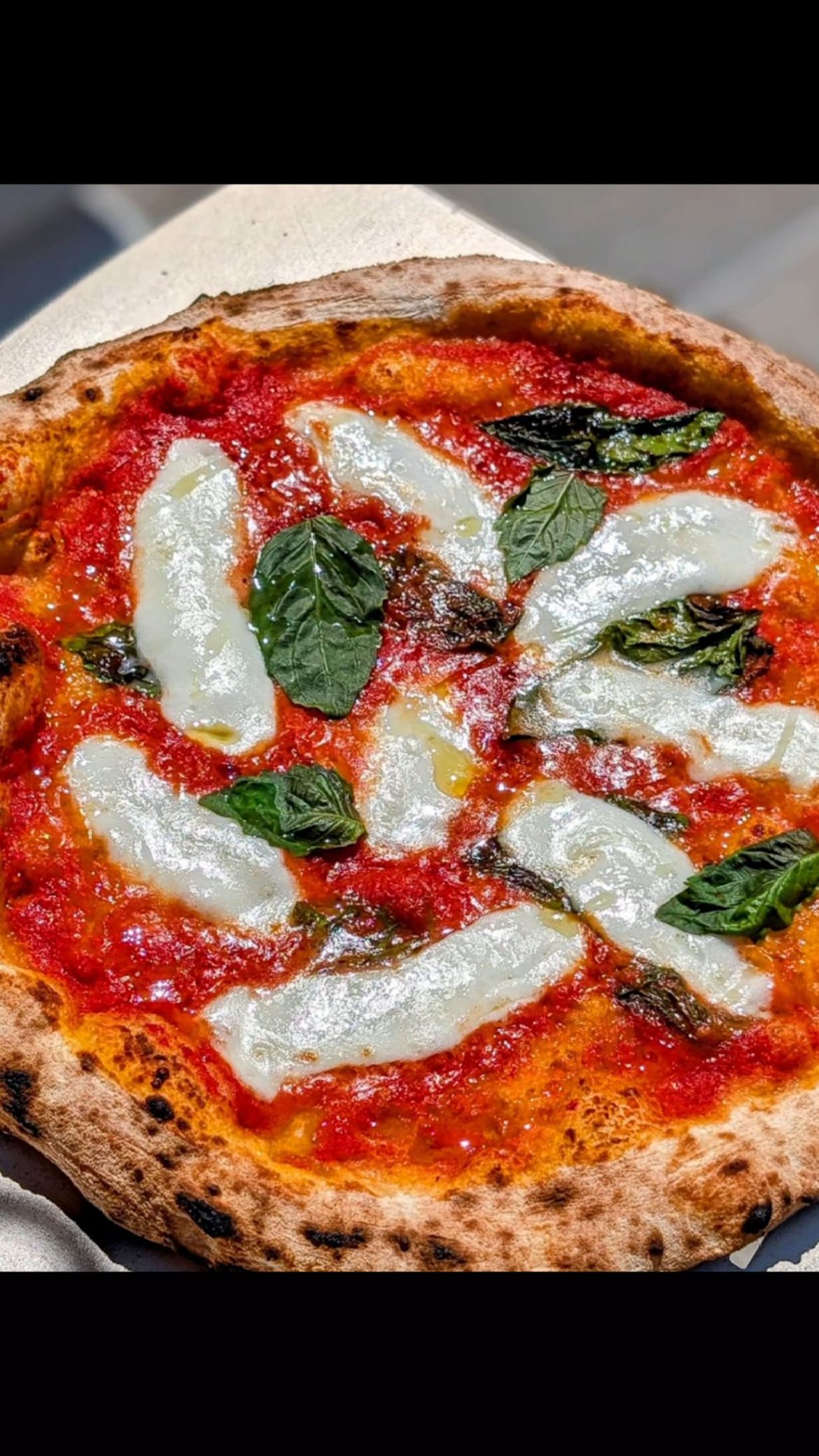 AVPN 24hr room temp fermentation