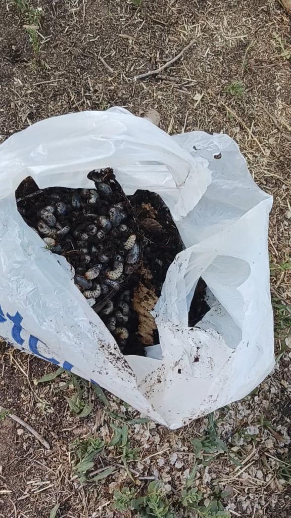 Avoid Expert Gardener soil Avoid Expert Gardener soil