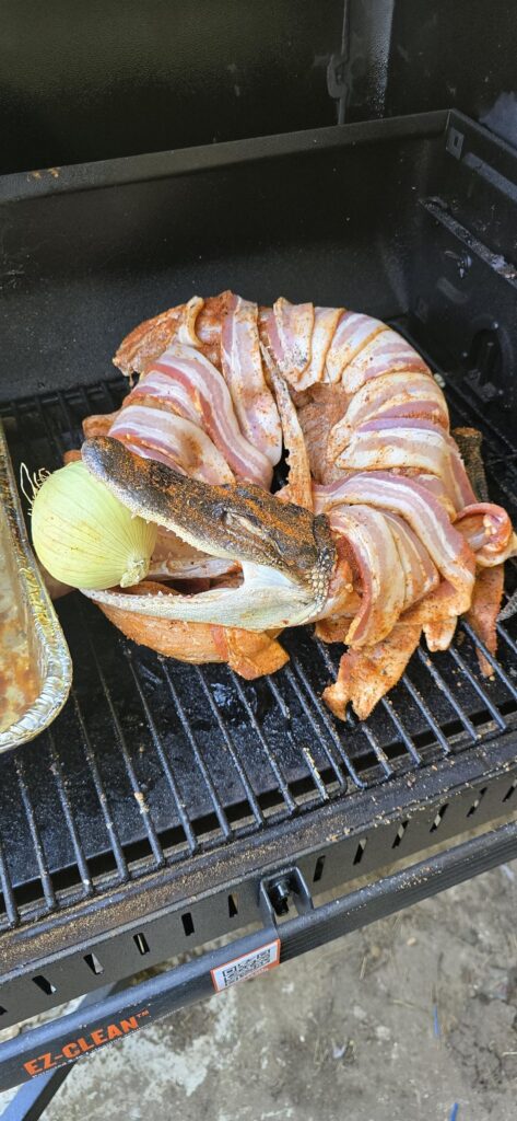 First attempt with whole alligator. 220 for 6 hours