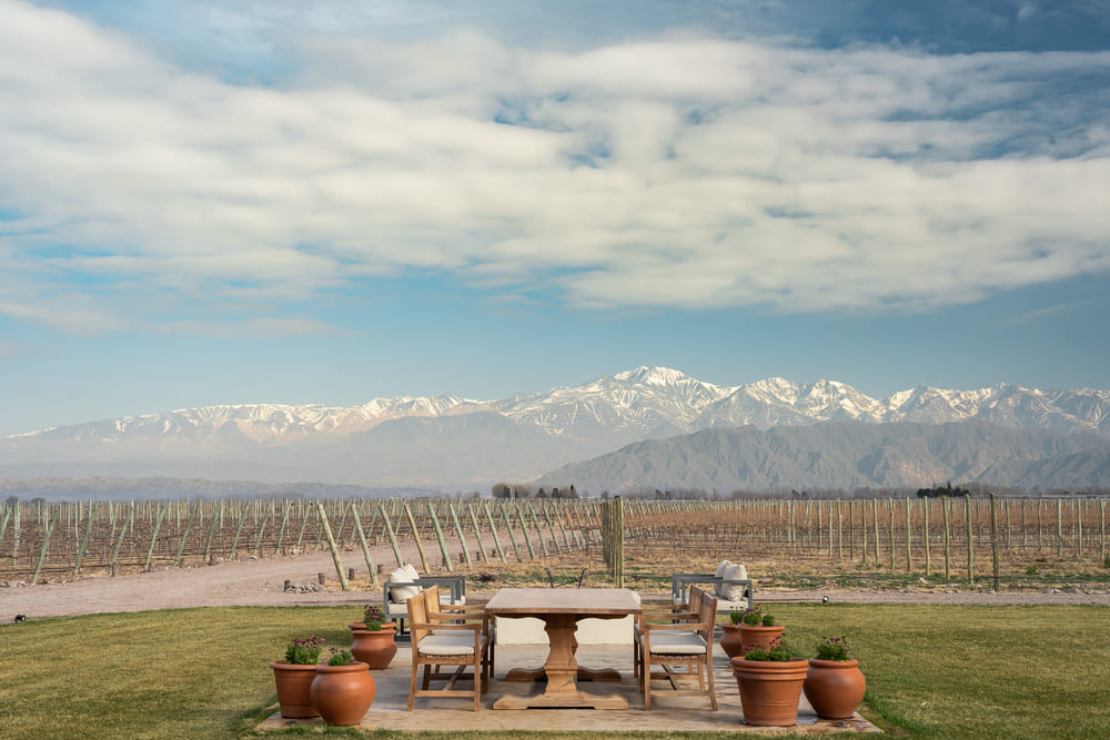 Mountains and vineyards at Ruca Malen © Sebastian Sena/Ruca Malen