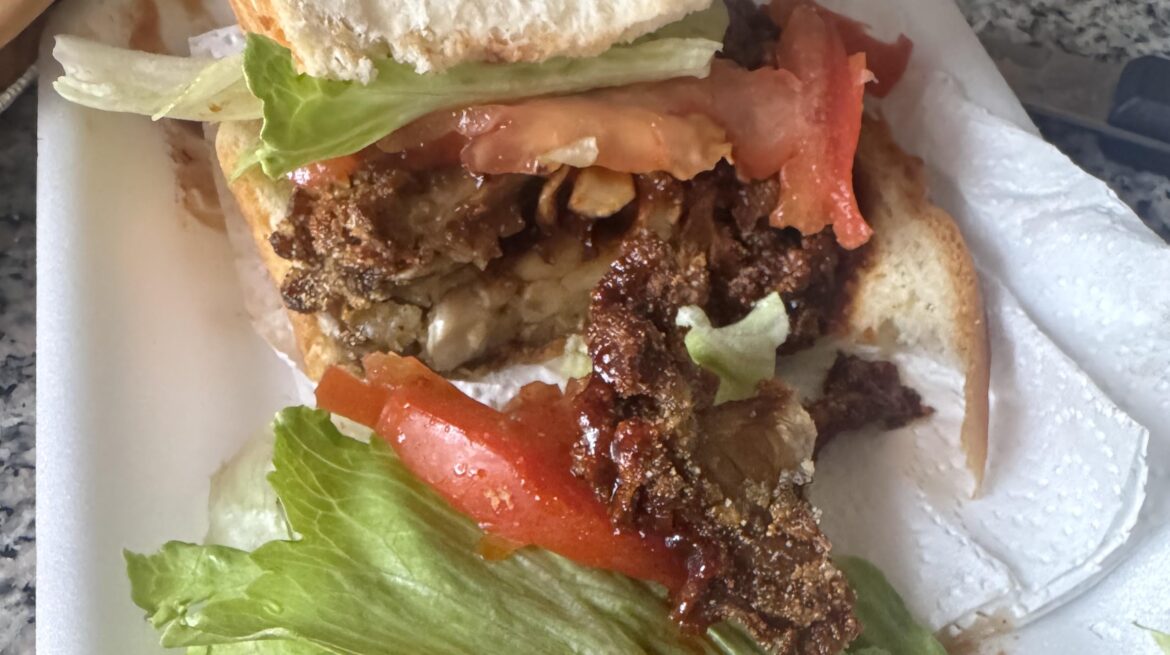 Blue oyster mushrooms