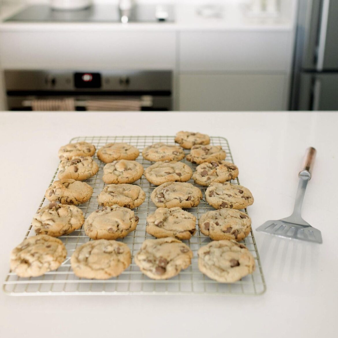 The Only Chocolate Chip Cookie Recipe I’ll Ever Use!