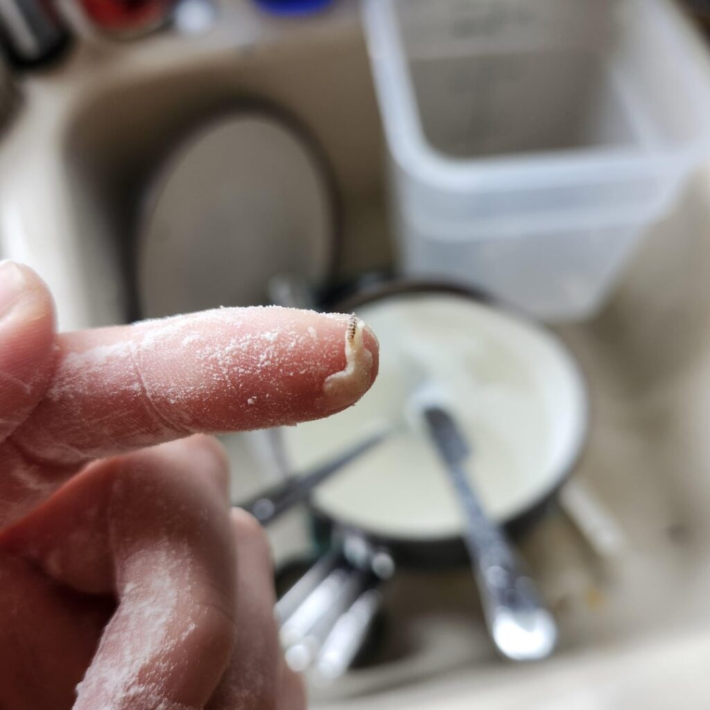 Found a WORM in my dough and flour 😭 Do Inhave to fully restart??