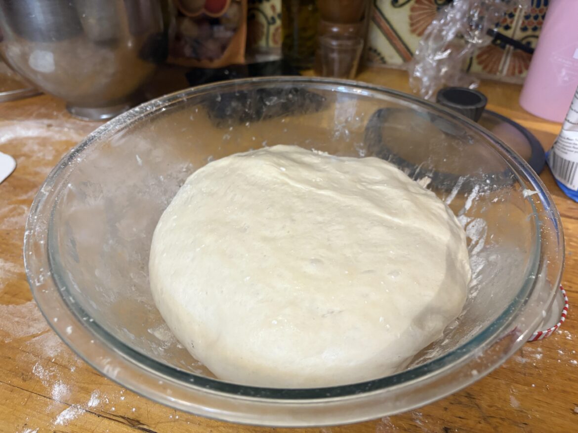 my bagels are an hour or two away from being fully proofed.. and i just realized i forgot both the salt and sugar HELP 😭😭