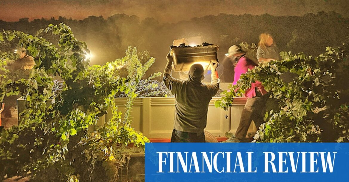 Californian wine: Five bottles to discover