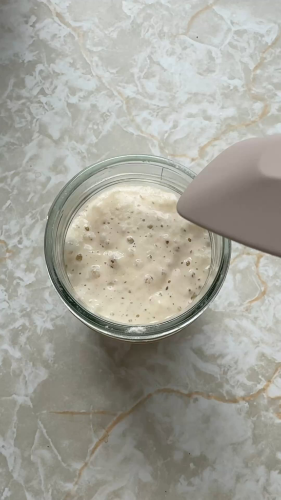 First “Successful” Sourdough First “Successful” Sourdough