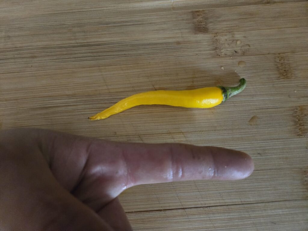 First jalapeño/ Thai