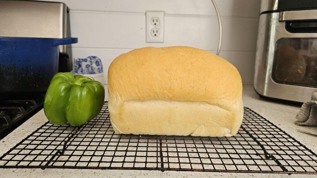 I did it. The perfect sandwich bread. (Bell pepper for scale)