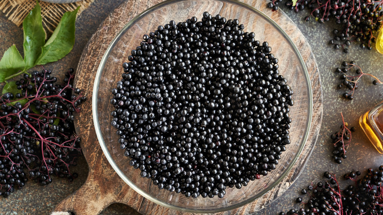 Glass bowl of elderberries by loose elderberry plants